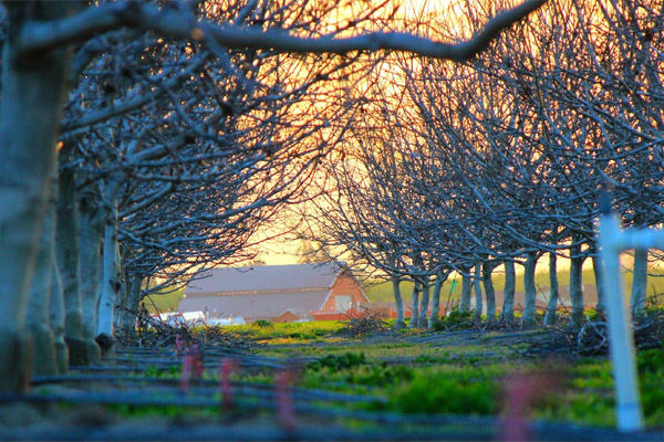 平台在线ddos压力测试