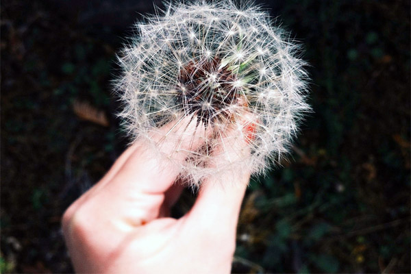 平台在线ddos压力测试